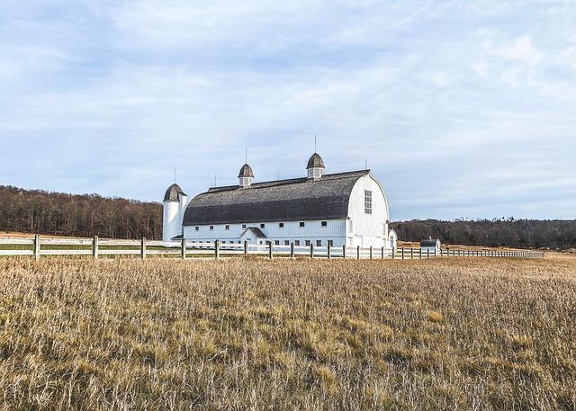 DHS Orders San Diego Native and U.S. Citizen to Leave the Country