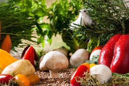 FairJourney Bio Launches Revolutionary Cryo-EM Services with Brand-New State-of-the-Art Labs in San Diego