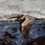 Unlock Amazing Scholarship Opportunities and Resources in San Diego