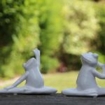 Spencer Akira Howe and Emily Chanon Earn Their Places on the U.S. Olympic Team