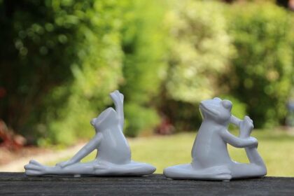 Spencer Akira Howe and Emily Chanon Earn Their Places on the U.S. Olympic Team