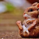 Bad Bunny Announces Thrilling New Tour with a Must-See San Diego Stop