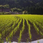 USD School of Law Alumnus Andy LeGolvan ’13 Recognized as a Trailblazer in Global Intellectual Property