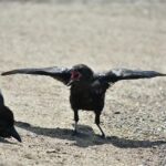 One of Europe’s Largest Gym Chains Is Launching Its U.S. Expansion in Greater Washington: Meet Pure Fitness