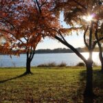 22 Fun Facts Everyone Should Know About Washington, D.C