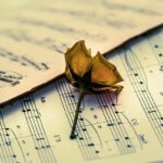 Pope Leo XIV Urges Renewed US–Cuba Dialogue Amid Rising Tensions After Latest Executive Order