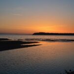 Washington State Industries Reel from Impact of New Tariffs