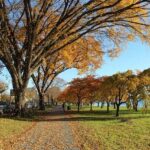 10 Festive & Fun Fall Things To Do in Washington, D.C. This Season