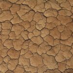 MACECE and Moroccan Embassy Celebrate 80 Years of Fulbright and Strong U.S.-Morocco Educational Ties in Washington