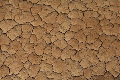 MACECE and Moroccan Embassy Celebrate 80 Years of Fulbright and Strong U.S.-Morocco Educational Ties in Washington