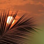 DHS Amplifies Impact with Intense Militaristic Action Videos