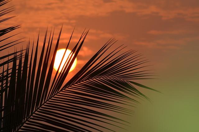 DHS Amplifies Impact with Intense Militaristic Action Videos