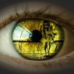 Domestic Violence Accounts for One-Quarter of Chicago’s Violent Crime as Funding for Support Services Disappears