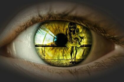 Domestic Violence Accounts for One-Quarter of Chicago’s Violent Crime as Funding for Support Services Disappears