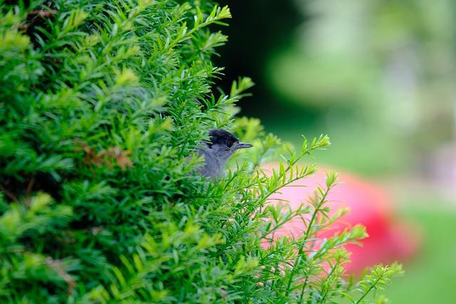 Redistricting Sparks Fierce Battle for Sylvia Garcia’s Political Future