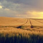 WWE® Returns to United Center in Chicago with Elimination Chamber® on Saturday, February 28, 2026