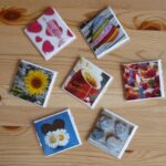 University of Houston Shatters Records with Largest Freshman Class Ever