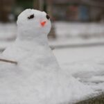 ICE Agents Detain Woman at Chicago Domestic Violence Courthouse, Witnesses Report