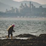 Celebrate Labor Day Weekend 2025 in Houston: Fireworks, Festivals, and Exciting Activities for Everyone