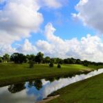 Five Bodies Recovered from Houston Bayous in One Week; Police Confirm No Connection