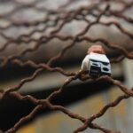 Texas Man on the Run After Daring Escape from San Antonio Prison Reentry Center