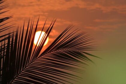 WATCH: DHS Secretary Noem Discusses SAVE Act and Election Security in Phoenix