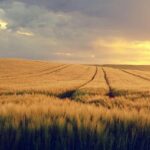 Sen. John Cornyn Faces Fierce GOP Primary Showdown Against AG Ken Paxton and Rep. Wesley Hunt