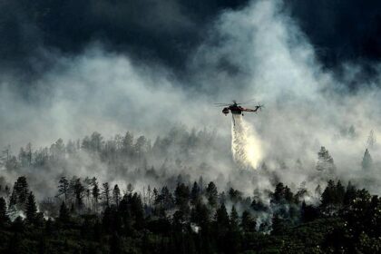 Crews Battle Houston-Area Wildfire as Winds Intensify, Holding Containment Lines