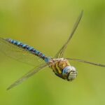 Trump Administration Bans Educational and Recreational Activities for Migrant Children in U.S. Custody