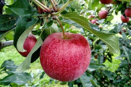 Renewed Focus on Roberson Case Adds to Growing Political Pressure on Texas Judiciary