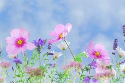 Discover the Museum of Illusions in Philadelphia: Mind-Bending Fun for Kids of All Ages