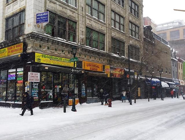 Stunning Photos Capture Philadelphia Region Blanketed in Snow as People and Animals Embrace the Winter Chill