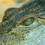 Bitter Cold Blast Set to Hit Philadelphia Region Sunday Night