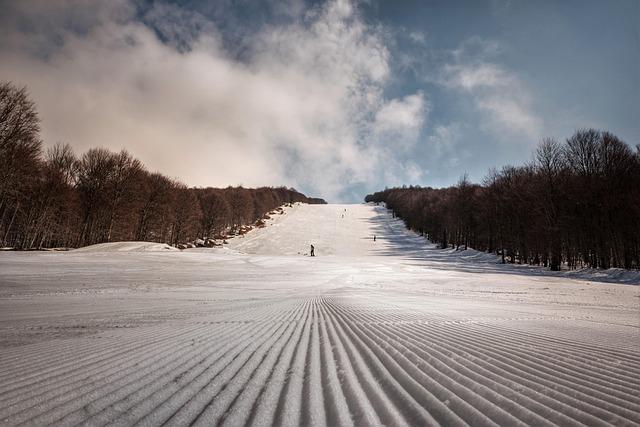Ultimate Guide to Winter Fun in Philadelphia