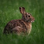 Major Legal Developments in the Eastern District of Pennsylvania Unveiled