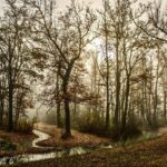 Visibility Clears After Foggy Morning Commute in Philadelphia Region: Here’s the Weather Forecast