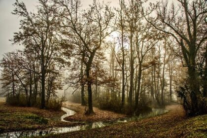 Visibility Clears After Foggy Morning Commute in Philadelphia Region: Here’s the Weather Forecast