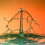 Discover Exciting Features That Make Baseball Even More Fun!