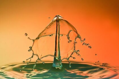 Discover Exciting Features That Make Baseball Even More Fun!