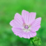 Inside Elon Musk’s War on Washington – Time Magazine