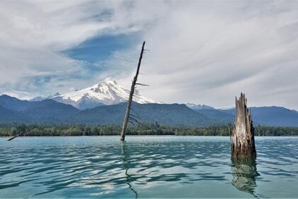 What Share of Washington’s Public School Funding Comes from the Federal Government?