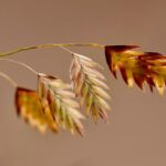 Students Forced to Move from Closing North Philly School to Lower-Performing Alternatives in District Plan