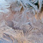 27 Magical Christmas Events and Holiday Activities in Philly Your Kids Will Love