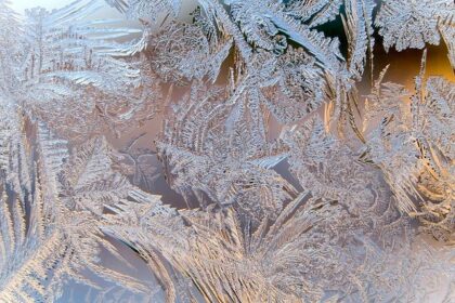 27 Magical Christmas Events and Holiday Activities in Philly Your Kids Will Love