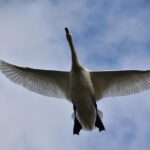 The Birds’ season comes to a disappointing end: 5 questions for the offseason – WHYY