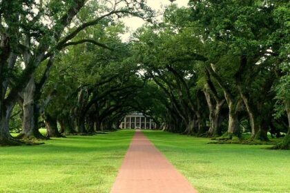 Judge Rules No Immediate Restoration Needed for Slavery Exhibits at Philadelphia’s President’s House
