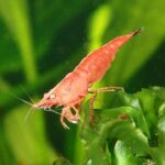 Bill Gates-Backed TerraPower to Launch 0M Cancer Treatment Facility in Philadelphia