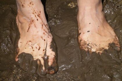 ‘Idiots,’ ‘Criminals’ and ‘Scum’: The Most Toxic Political Climate in the US Since the Civil War