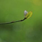 A Decade of Growth Fueled by Our Dedicated Team Members