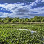 City Launches Major Crackdown on Illegal Dumping in Philly’s Pennypack Park